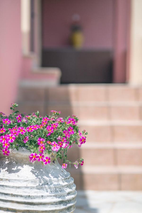 Iliachtida Apartment Alepou