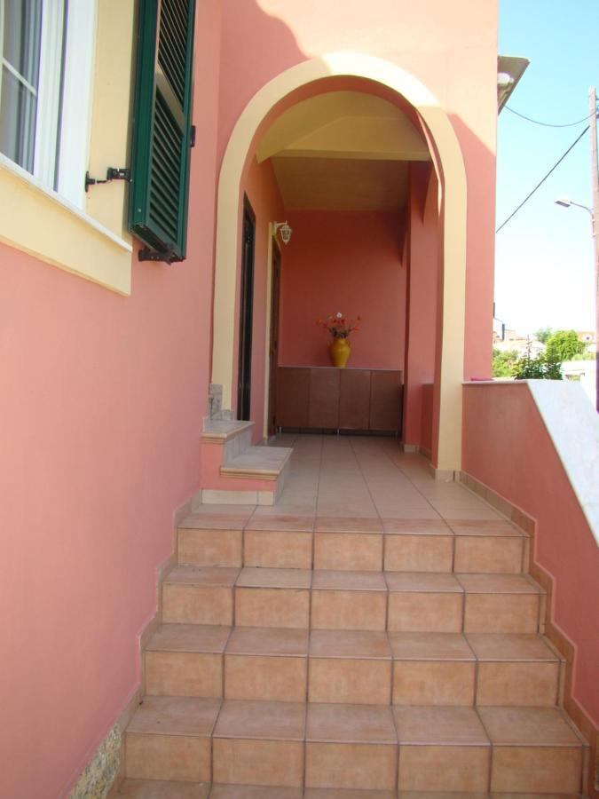 Iliachtida